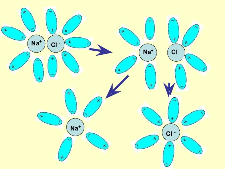 Na+ Cl - Na+ Cl - Na+ Cl -