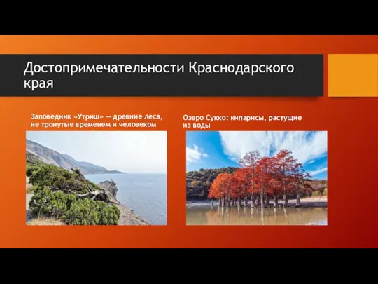 Достопримечательности Краснодарского края Заповедник «Утриш» — древние леса, не тронутые