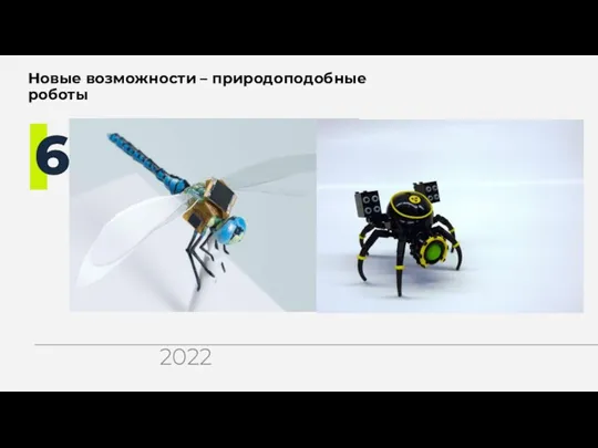 Новые возможности – природоподобные роботы 6 2022