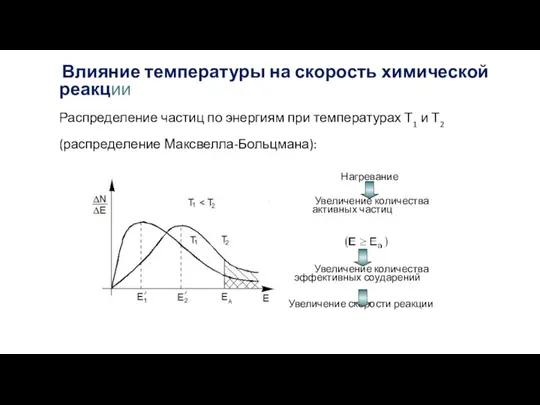 Влияние температуры на скорость химической реакции Распределение частиц по энергиям