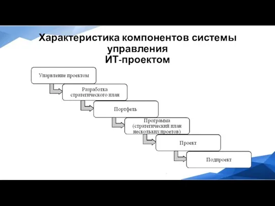 Характеристика компонентов системы управления ИТ-проектом