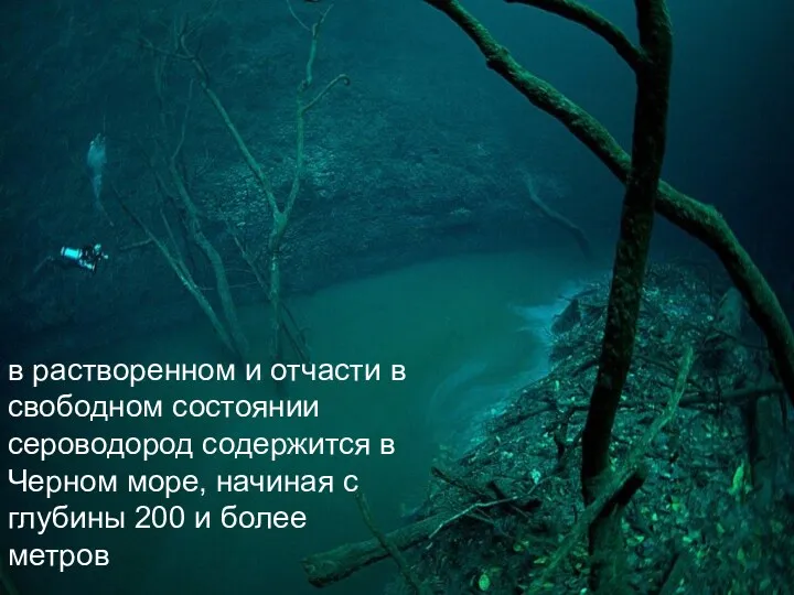 в растворенном и отчасти в свободном состоянии сероводород содержится в