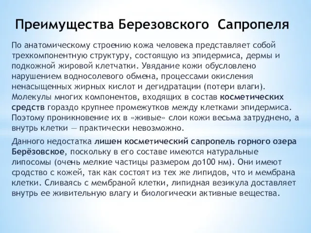 Преимущества Березовского Сапропеля По анатомическому строению кожа человека представляет собой