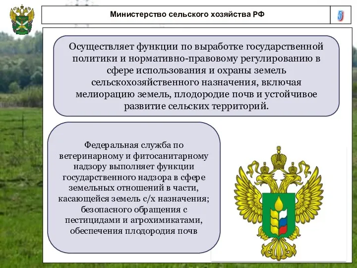 5 Министерство сельского хозяйства РФ Осуществляет функции по выработке государственной