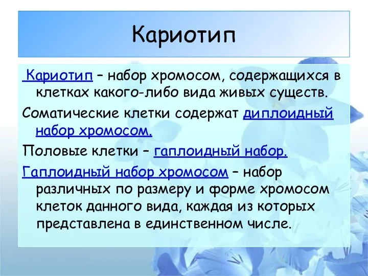 Кариотип Кариотип – набор хромосом, содержащихся в клетках какого-либо вида живых существ. Соматические