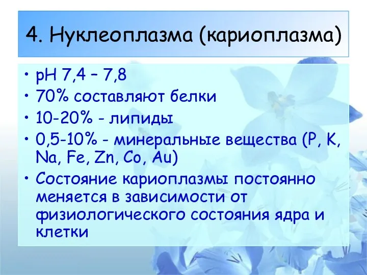 4. Нуклеоплазма (кариоплазма) рН 7,4 – 7,8 70% составляют белки 10-20% - липиды