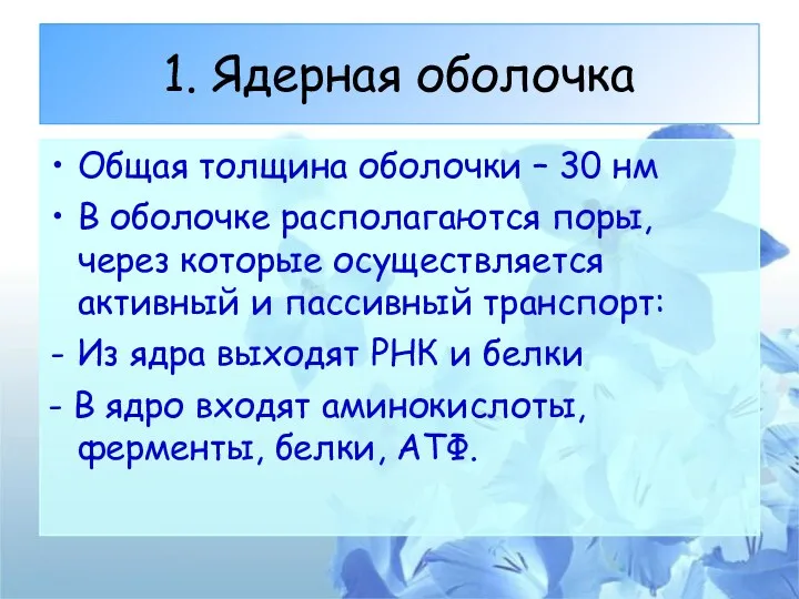 1. Ядерная оболочка Общая толщина оболочки – 30 нм В оболочке располагаются поры,