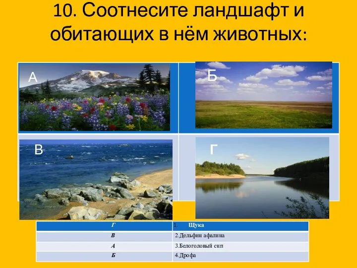 10. Соотнесите ландшафт и обитающих в нём животных: А В Б Г