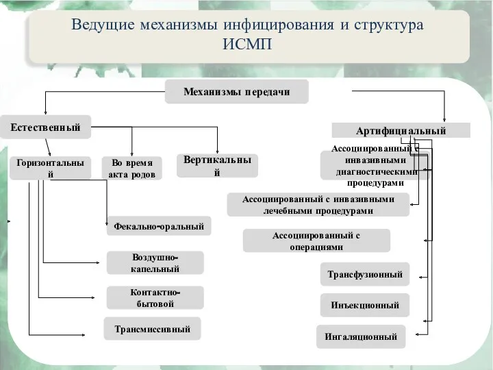 Актуальные вопросы эпидемиологии внутрибольничных инфекций Ведущие механизмы инфицирования и структура