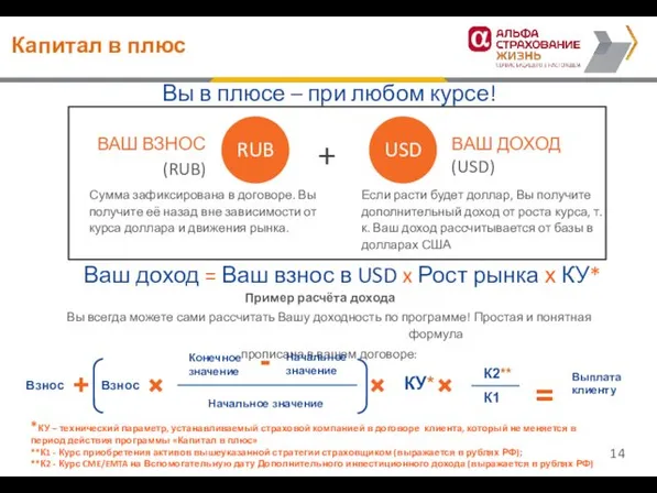 Вы в плюсе – при любом курсе! ВАШ ВЗНОС (RUB)