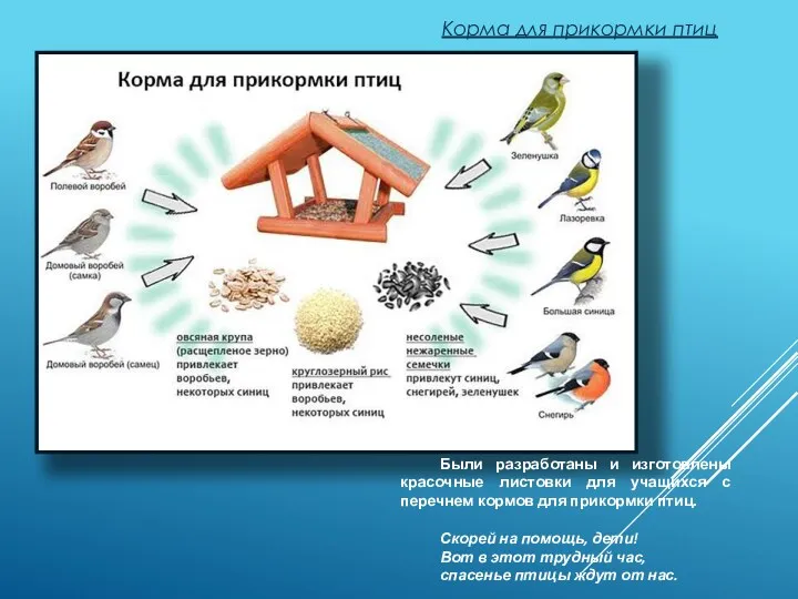 Корма для прикормки птиц Были разработаны и изготовлены красочные листовки