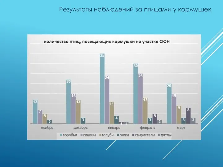 Результаты наблюдений за птицами у кормушек