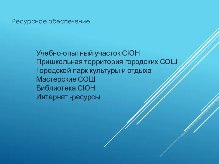 Ресурсное обеспечение Учебно-опытный участок СЮН Пришкольная территория городских СОШ Городской