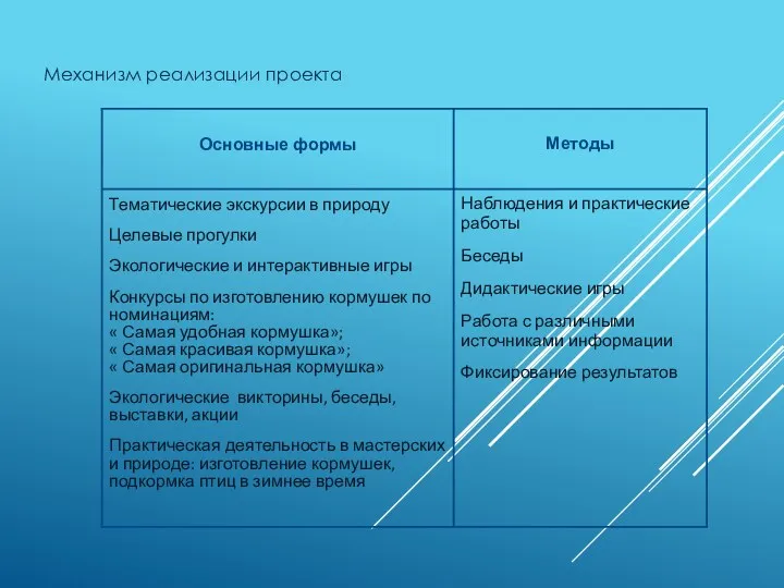 Механизм реализации проекта