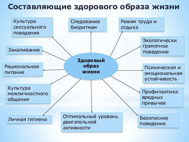 Составляющие здорового образа жизни