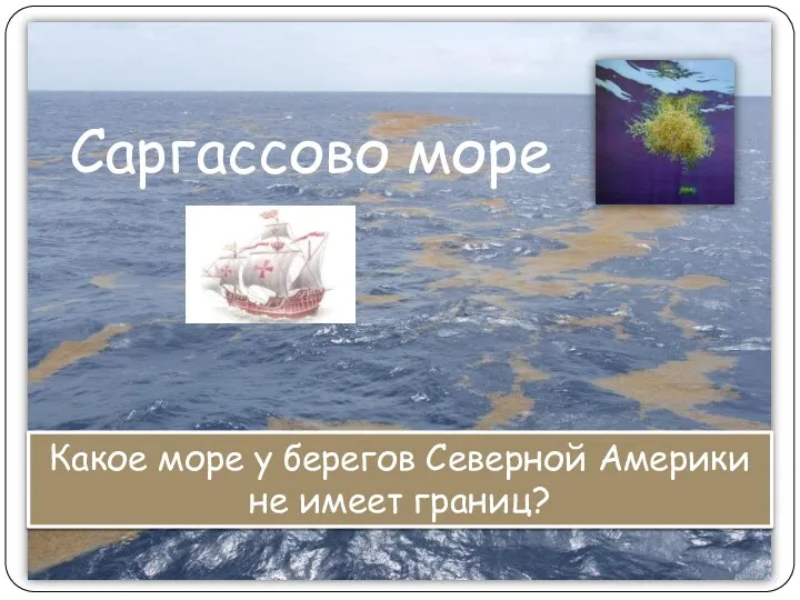 Какое море у берегов Северной Америки не имеет границ? Саргассово море