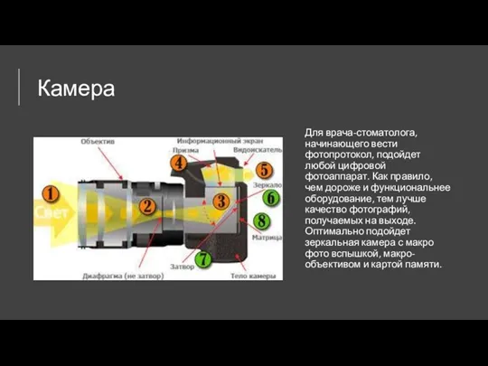 Камера Для врача-стоматолога, начинающего вести фотопротокол, подойдет любой цифровой фотоаппарат.