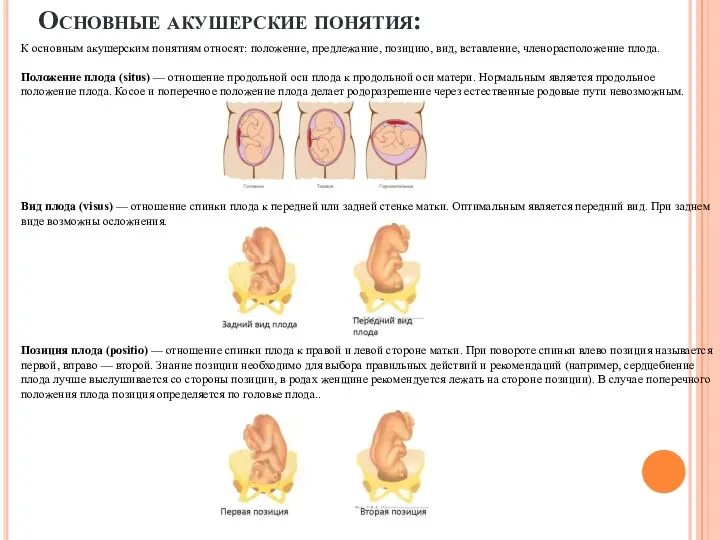 Основные акушерские понятия: К основным акушерским понятиям относят: положение, предлежание,