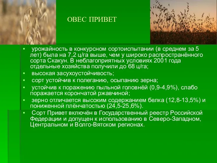 ОВЕС ПРИВЕТ урожайность в конкурсном сортоиспытании (в среднем за 5