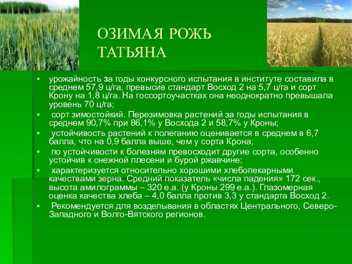 ОЗИМАЯ РОЖЬ ТАТЬЯНА урожайность за годы конкурсного испытания в институте