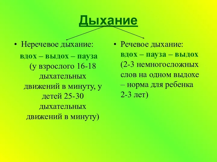 Дыхание Неречевое дыхание: вдох – выдох – пауза (у взрослого