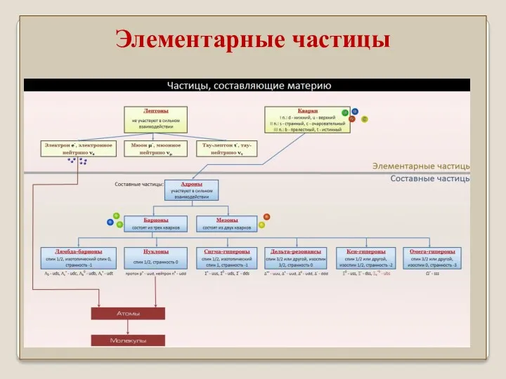 Элементарные частицы