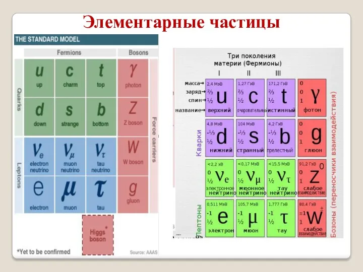 Элементарные частицы