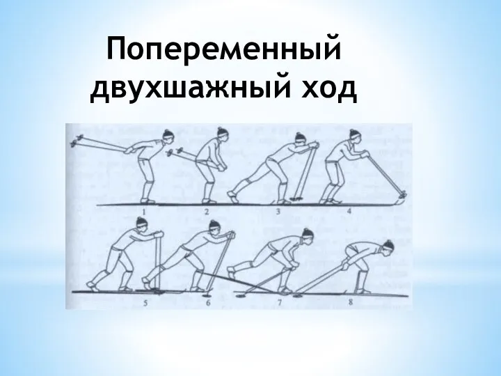 Попеременный двухшажный ход