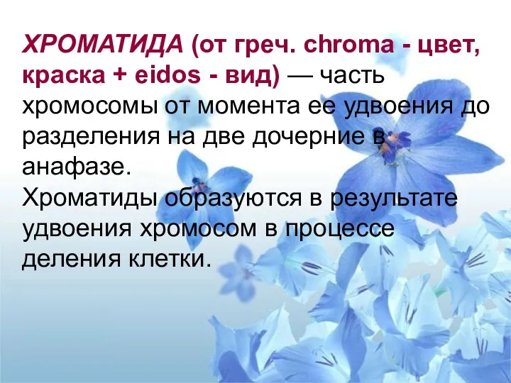 ХРОМАТИДА (от греч. chroma - цвет, краска + eidos -