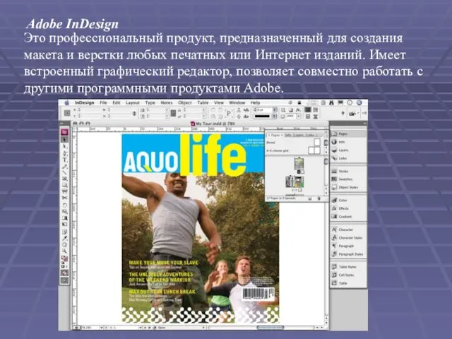 Adobe InDesign Это профессиональный продукт, предназначенный для создания макета и верстки любых печатных
