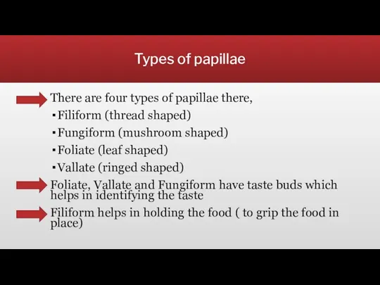 Types of papillae There are four types of papillae there, Filiform (thread shaped)