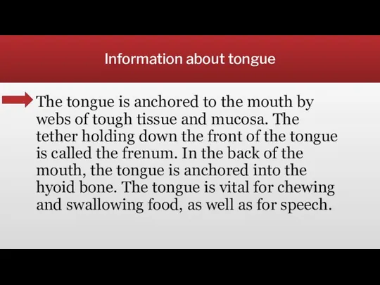 Information about tongue The tongue is anchored to the mouth by webs of