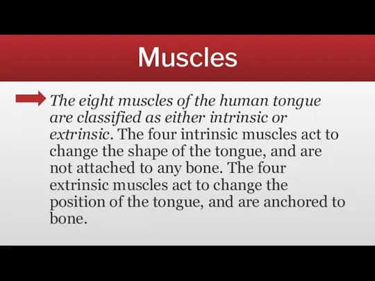 Muscles The eight muscles of the human tongue are classified as either intrinsic