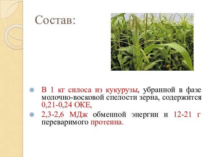 Состав: В 1 кг силоса из кукурузы, убранной в фазе