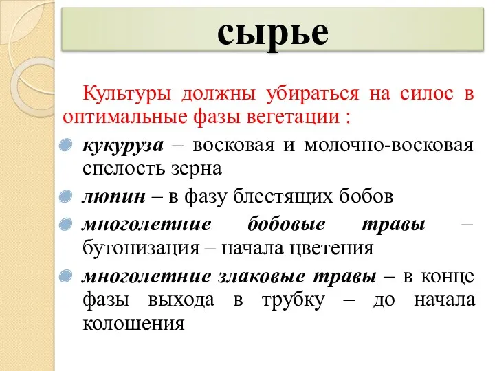 сырье Культуры должны убираться на силос в оптимальные фазы вегетации