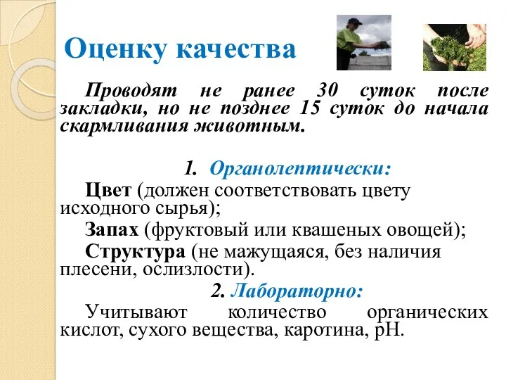 Оценку качества Проводят не ранее 30 суток после закладки, но