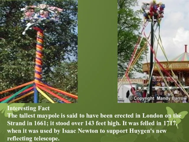 Interesting Fact The tallest maypole is said to have been