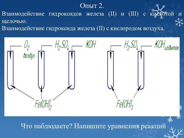 Опыт 2. Взаимодействие гидроксидов железа (II) и (III) с кислотой