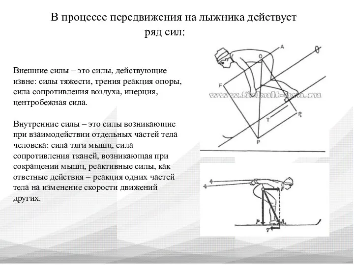 В процессе передвижения на лыжника действует ряд сил: Внешние силы