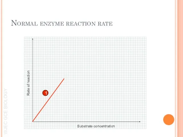 Normal enzyme reaction rate 1 Rate of reaction Substrate concentration