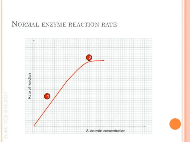 Normal enzyme reaction rate 1 2 Rate of reaction Substrate concentration