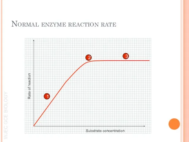 1 2 3 Rate of reaction Substrate concentration Normal enzyme reaction rate