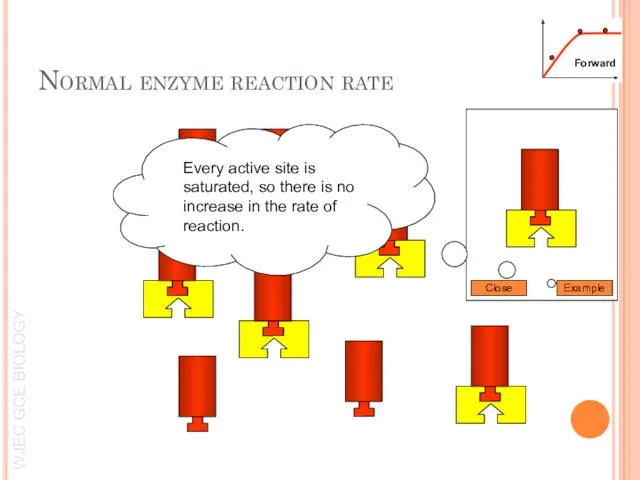 Forward Example Close Every active site is saturated, so there