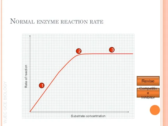 1 2 3 Rate of reaction Substrate concentration Normal enzyme reaction rate