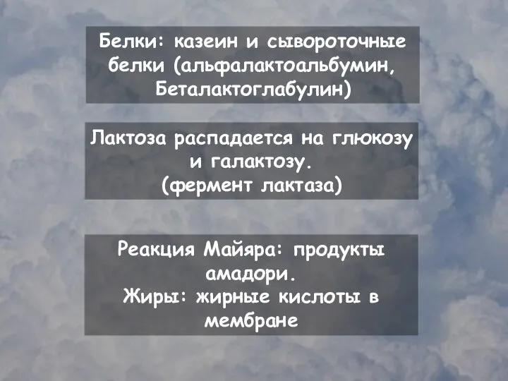 Белки: казеин и сывороточные белки (альфалактоальбумин, Беталактоглабулин) Лактоза распадается на