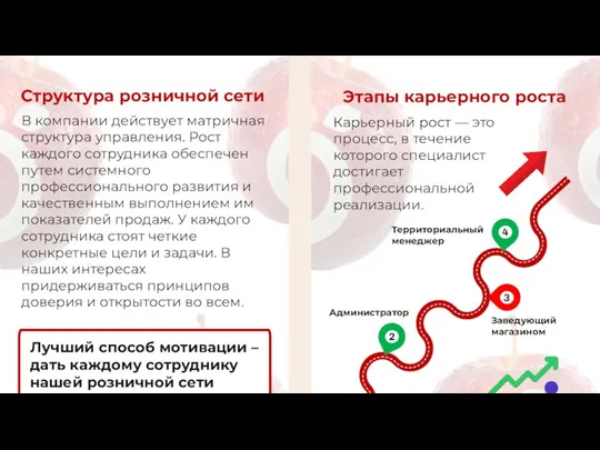 Структура розничной сети В компании действует матричная структура управления. Рост