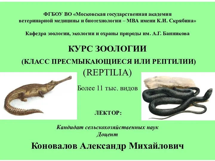 Класс Пресмыкающиеся или Рептилии (Reptilia)