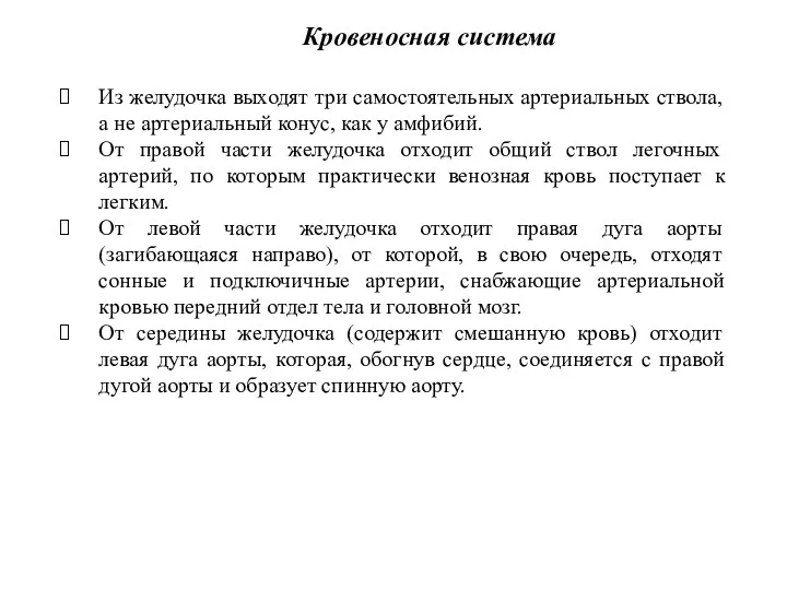 Из желудочка выходят три самостоятельных артериальных ствола, а не артериальный конус, как у