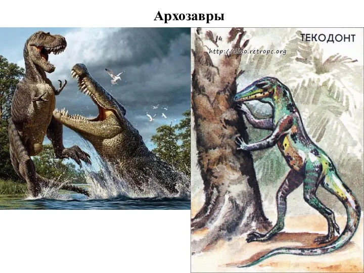 Архозавры