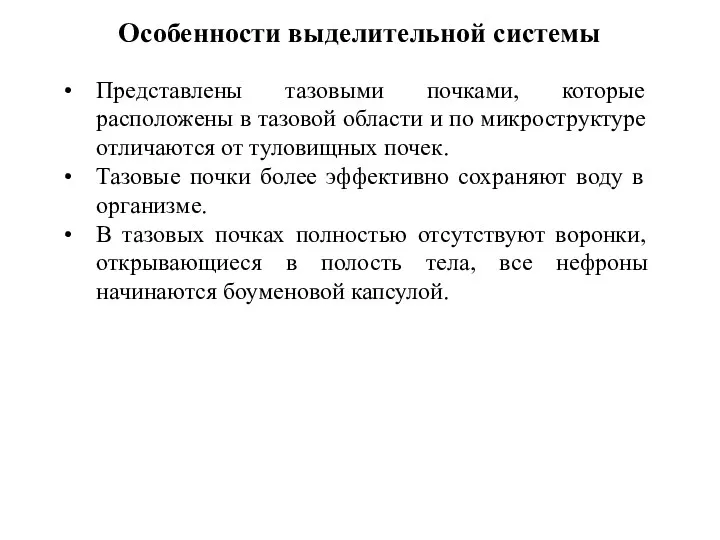 Особенности выделительной системы Представлены тазовыми почками, которые расположены в тазовой